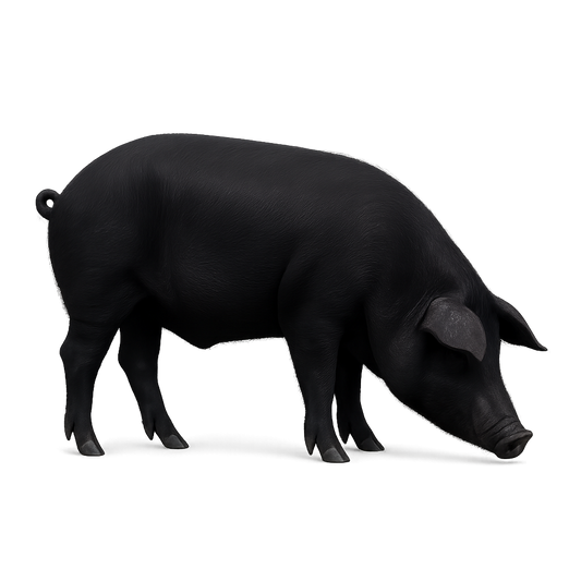 Whole Raza Iberico Pig